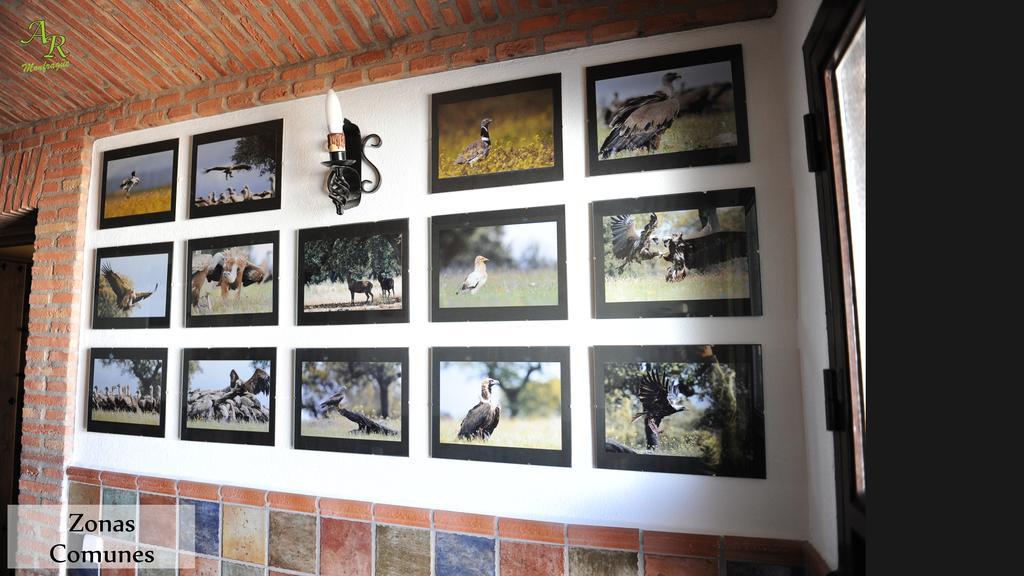 Apartamentos Rurales Monfraguee Torrejón el Rubio Buitenkant foto